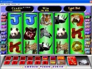 slots_gowild screenshot